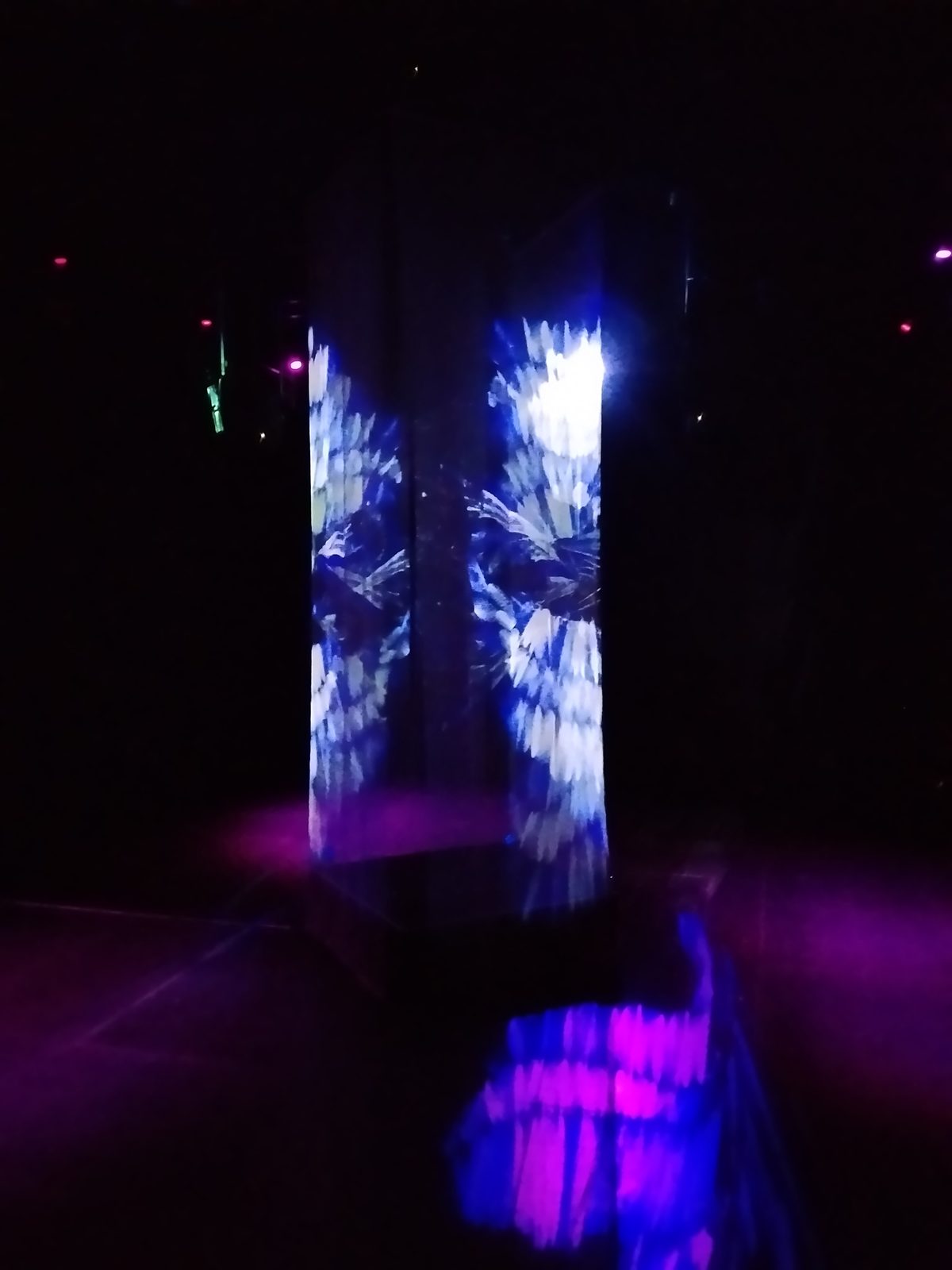 Columnas gemelas de tela con proyección magenta en un evento inmersivo en Guadalajara