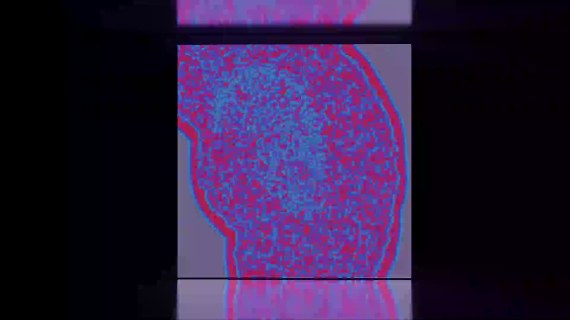 Generative field displayed on a square gallery screen in a black room