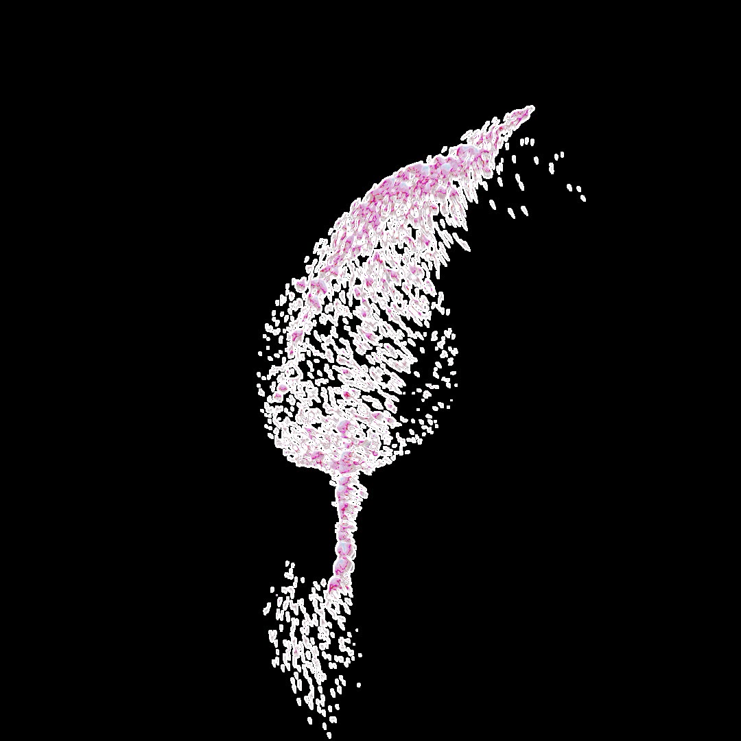Pink-white particle plume rising on a black field